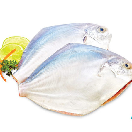 Fresh Fish White Pomfret Large - Whole Cleaned, 500 g