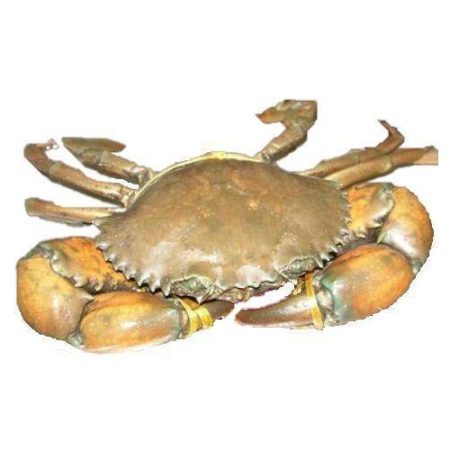 Fresh Sea - Crabs, 1 kg