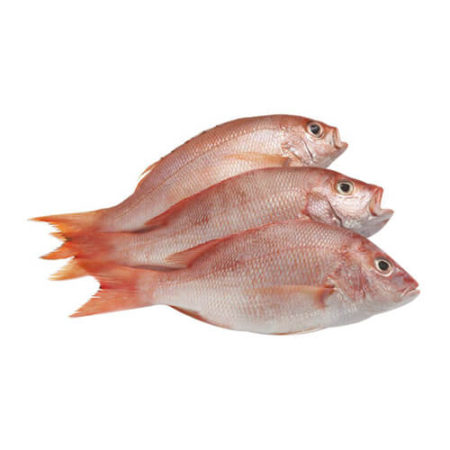 Fresh Sea - Fish Snapper / Sankara / Gulivindalu, 1 kg