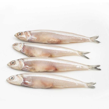 Fresh Anchovey Sea Fish - Whole Cleaned, 1 kg