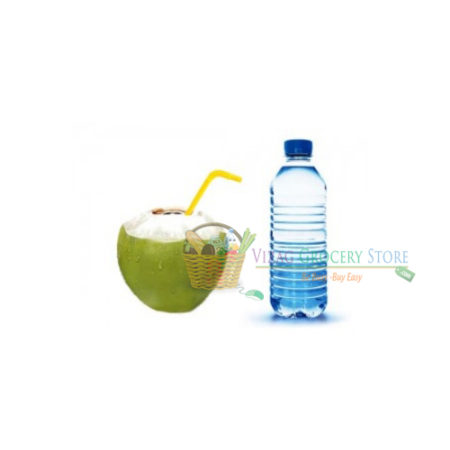 Coconut Drinking Water 1 Ltr Bottle