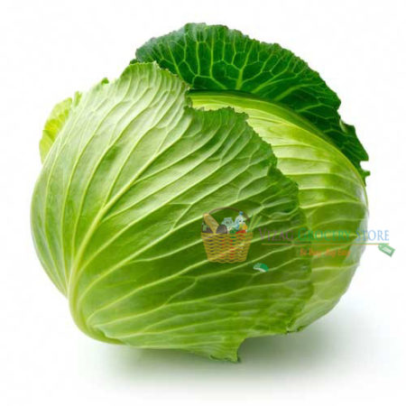 Fresh Cabbage, 1 Pc (Approx 500 G To 800 G)