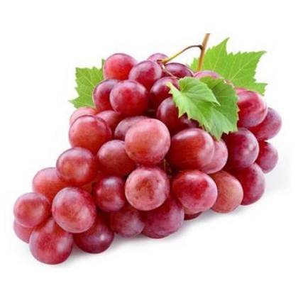 Fresh - Grapes - Red Globe
