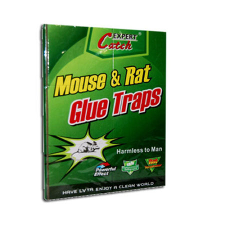 Mouse & Rat Glue Traps